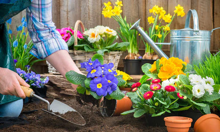 انجام فعالیت های فیزیکی سبک برای دفع سنگ کلیه تاثیرات ورزش برای دفع سنگ کلیه, ورزش برای دفع سنگ کلیه, بهترین ورزش برای دفع سنگ کلیه