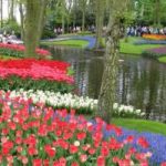 باغ,باغهای حیرت انگیز از سراسر دنیا,باغهای بوتچارت,مشهورترین باغهای دنیا