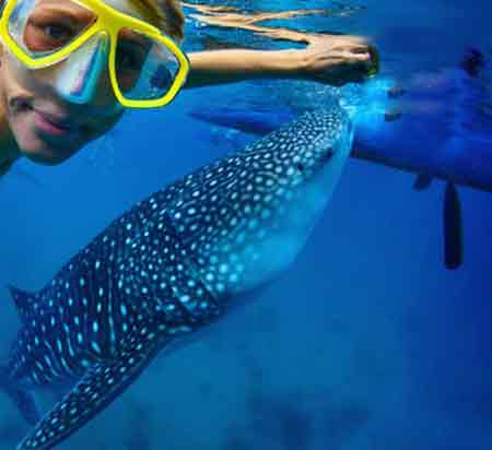 جاذبه های دیدنی لندن,دیدنیهای لندن جاذبه های دیدنی لندن,دیدنیهای لندن