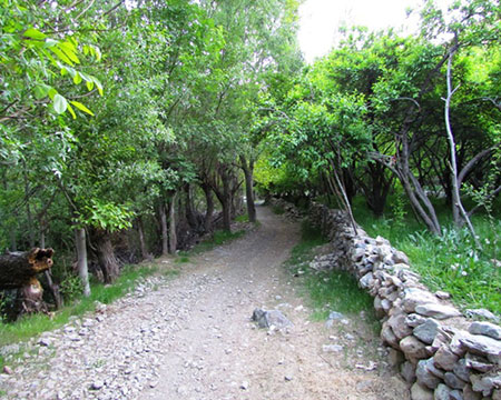 خرو,جاذبه های گردشگری خرو