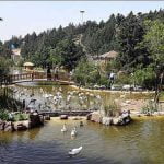 بزرگترین باغ پرندگان ایران,باغ پرندگان