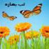 تب بهاره