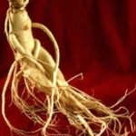 تقویت حافظه‌,گیاه قویت حافظه‌,داروی تقویت حافظه‌