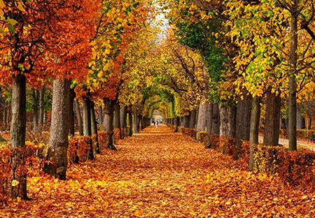 سفر به شمال در آذرماه, مقاصد گردشگری در آذرماه, سفر به شهرهای گرمسیری در آذرماه