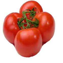 غذای چربی سوز