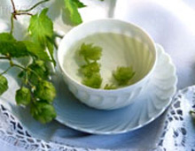 درمان اضطراب‌,داروی گیاهی درمان اضطراب‌