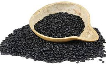 سیاهدانه,خواص سیاهدانه,خاصیت سیاهدانه,خواص گیاه سیاهدانه سیاهدانه,خواص سیاهدانه,خاصیت سیاهدانه,خواص گیاه سیاهدانه
