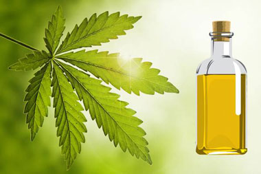 از بین بردن شپش سر,شپش سر در کودکان