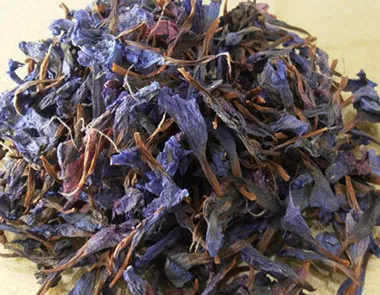 گل گاوزبان,خواص گل گاوزبان,گیاه گل گاوزبان