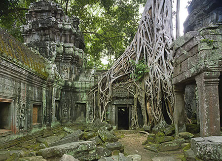 Ta Prohm – کامبوج زیباترین مکانهای روی زمین