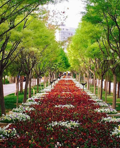 باغ جنت شیراز, امکانات رفاهی و تفریحی باغ جنت شیراز, امکانات باغ جنت شیراز