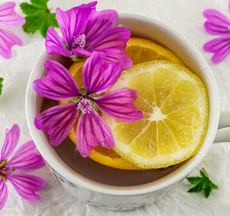 خواص گل پنیرک, خاصیت گل پنیرک, گل پنیرک