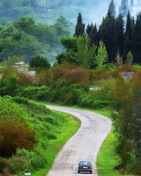 مسیر دسترسی به جنگل پاسند مسیر اسپه او بهشهر, جنگل پاسند, جنگل های بکر پاسند