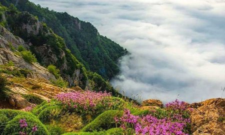 بهترین مکان ها برای سفر در تیر ماه, بهترین مکان ها برای سفر, بهترین مکان ها برای سفر در تابستان