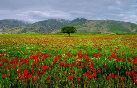 شهرستان سیلوانا, منطقه گردشگری سیلوانا, ارومیه سیلوانا