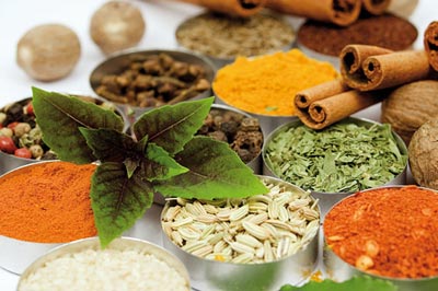 طب سنتی,درمان با طب سنتی,مزاج ها در طب سنتی