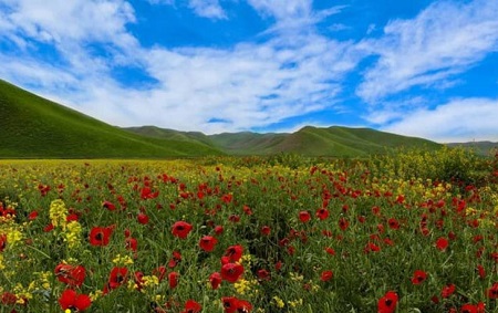 آداب و رسوم مردمان ترکمن صحرا, جاهای دیدنی ترکمن صحرا, سفر به ترکمن صحرا