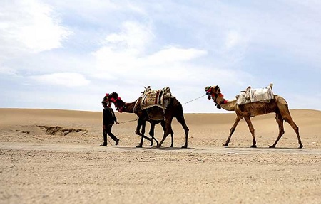 عکس های کویر ورزنه حیوانات کویر ورزنه, کویر ورزنه, سفر به کویر ورزنه در تابستان