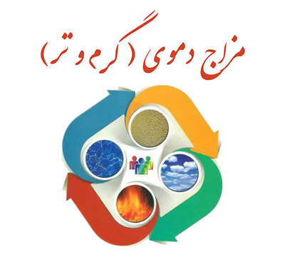 غذاهای مفید برای مزاج گرم و تر, مزاج گرم و تر