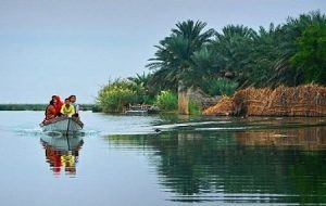 مرگ تالاب شادگان, گیاهان تالاب شادگان, اوضاع تالاب شادگان