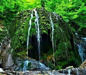 زمان برای سفر به پاسند, جنگل مه آلود پاسند, جنگل پاسند کجاست
