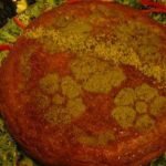 دستور تهیه کوکو پسته,پخت کوکو پسته