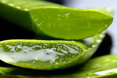 رفع درد مفاصل, گیاهان دارویی برای درد مفاصل 