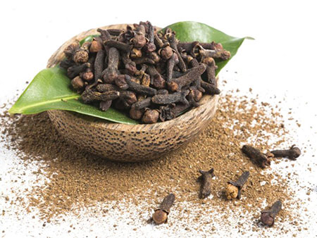  گل میخك, فواید گل میخک