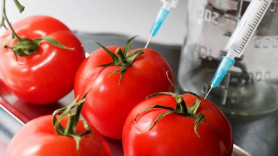  مواد غذایی اصلاح شده ژنتیکی, محصولات تراریخته