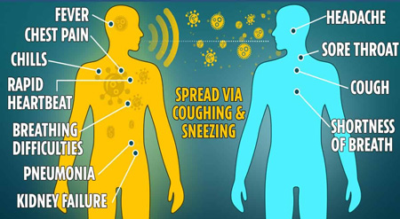  ویروس كرونا چیست, ویروس كرونا