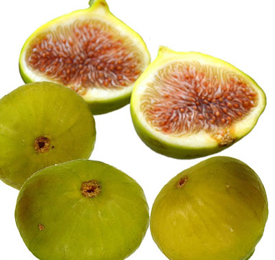 گیاهان دارویی برای درمان عفونت