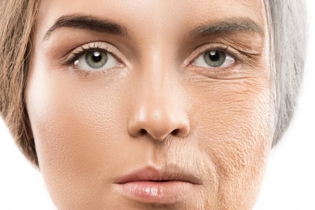  نحوه استفاده از گیاه مرموک, نحوه استفاده از گیاه مرموک, گیاه مرموک