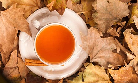 عرق برگ چنار و خواص آن, عکس برگ چنار, خاصیت دارویی گیاه برگ چنار