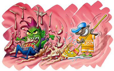 کلسترول خوب,افزایش کلسترول خوب کلسترول خوب,افزایش کلسترول خوب