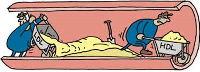 کلسترول خوب,افزایش کلسترول خوب کلسترول خوب,افزایش کلسترول خوب