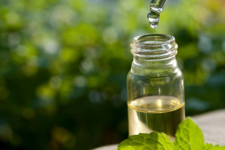 خاصیت روغن درخت چای