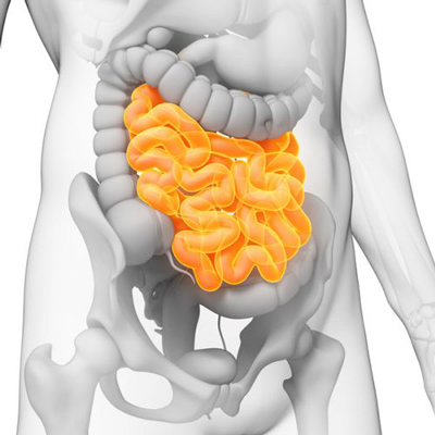 درمان یبوست با طب سنتی، درمان یبوست های مزمن راه درمان یبوست, راه های درمان یبوست