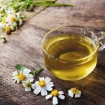 خاصیت های درمانی چای سیستوس, نحوه ی تهیه ی چای سیستوس, خرید چای سیستوس