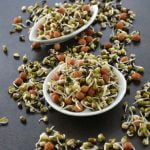 طرز تهیه جوانه گندم,طرز تهیه جوانه ماش,طرز تهیه جوانه گندم با پارچه