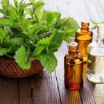 خاصیت روغن درخت چای