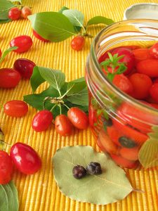 ترشی زغال اخته, طرز تهیه ی ترشی زغال اخته, خواص ترشی زغال اخته
