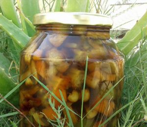 مواد لازم برای ترشی قارچ,طرز تهیه ترشی قارچ