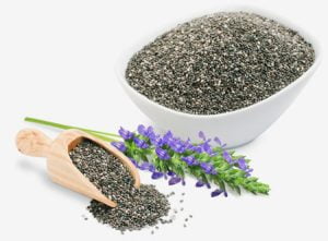 خواص دانه چیا,تفاوت چیا و تخم شربتی