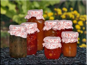 طرز پخت مربا زرشک