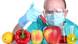 مواد غذایی اصلاح شده ژنتیکی, محصولات تراریخته