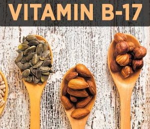 مکمل های ویتامین ب 17, ویتامین B17, منابع ویتامین B17