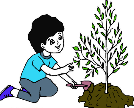 نقاشی روز درختکاری برای بچه ها