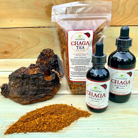 قارچ چاگا چیست, قارچ chaga, ارزش غذایی قارچ چاگا