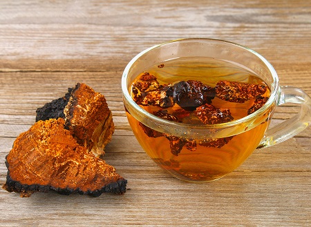عوارض جانبی قارچ چاگا, فواید قارچ چاگا برای سلامتی, نحوه مصرف قارچ چاگا