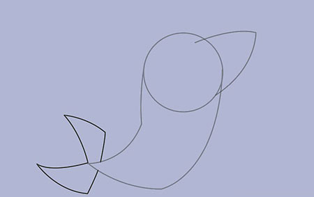 نقاشی کوسه,عکس نقاشی کوسه,آموزش کشیدن نقاشی کوسه